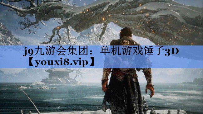 j9九游会集团：单机游戏锤子3D